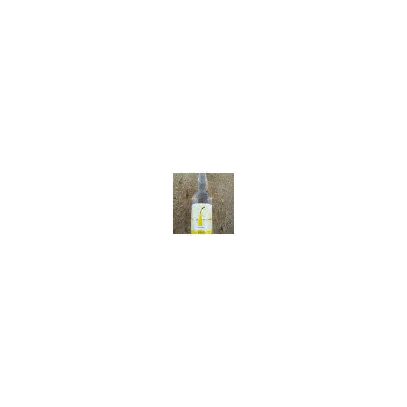 limonade bio chez terreetmer17.com