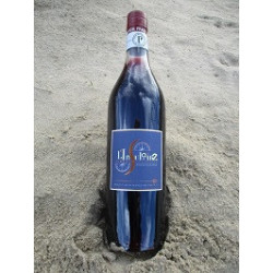 pineau des charentes chez terreetmer17.com