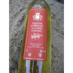 liqueur d abricot à la fine cognac.