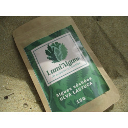 ulva lactuca