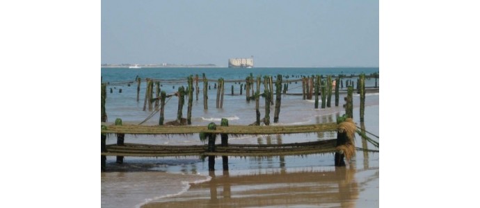 Top 10 des spécialités charentaises et Oléronnaises à découvrir