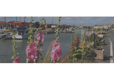 Artisans charentais : les produits du terroir de Terre et Mer 17